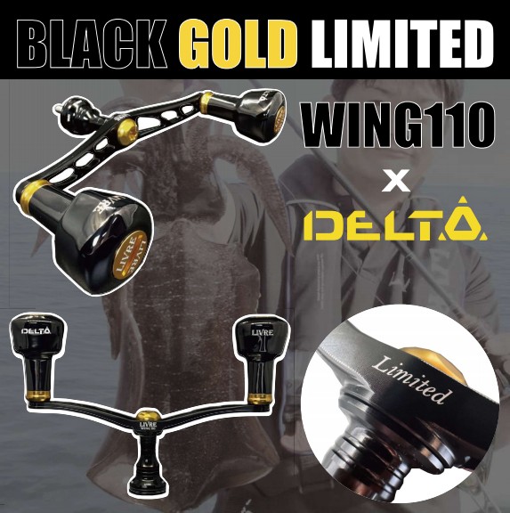 wing110 bkgg.jpg